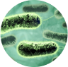 Blue Glove Pharmaceuticals